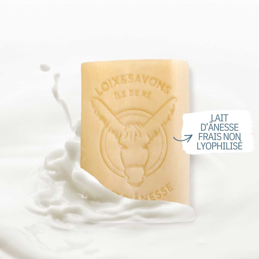 Savon au lait d'anesse bio artisanal de l'ile de re 100g (Choisissez le parfum du savon : : Parfum d'antan)