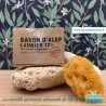 Savon d'Alep 12% de laurier 200g savonnerie de ré de l'ile de ré