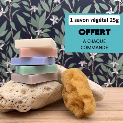 Porte savon naturel