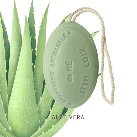 Savon parfum Aloe vera