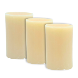 Savon au lait de chèvre lot 3 bûchettes 100g