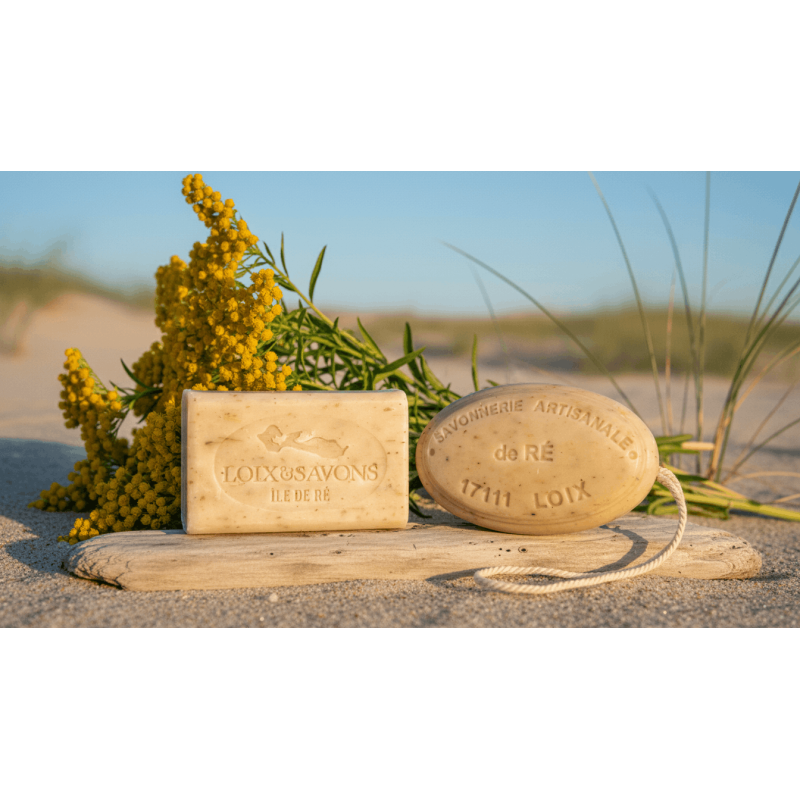 Savon immortelle des dunes | Fleurs séchées de l'île de Ré | Surgras