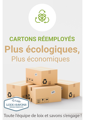 carton remployes ecologiques et economique