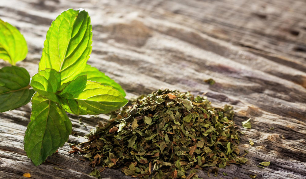 Bienfaits du menthol dans un savon artisanal