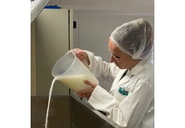 Pourquoi le lait d'ânesse est-il si efficace en cosmétique ?